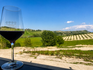 Rosmarino: Barbera e Vigne del Monferrato